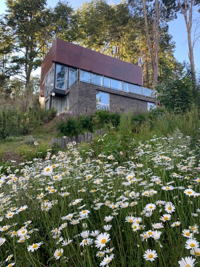 Casa Moderna En El Bosque Y Montana Villa Villa La Angostura Exteriör bild